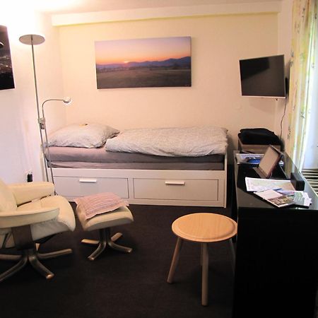 Apartment Hugo37 Am Bergpark 카셀 외부 사진